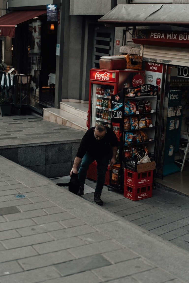 Full body of unrecognizable male in casual clothes standing on pavement while petting black cat near building with local grocery shop in town district in daylight