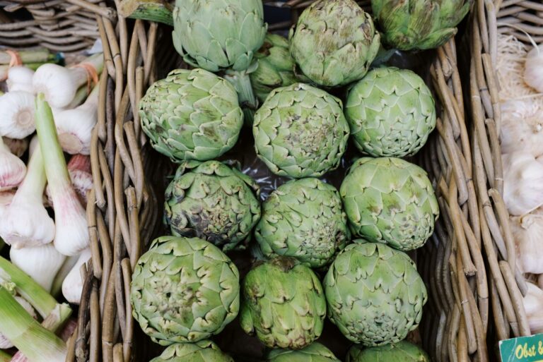 Organic green artichokes for sale in local market